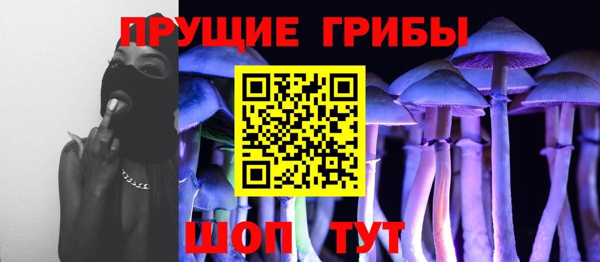 Галлюциногенные грибы Cubensis Губкин